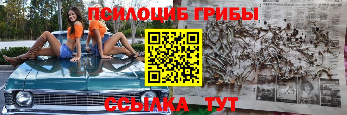 Псилоцибиновые грибы мицелий Партизанск