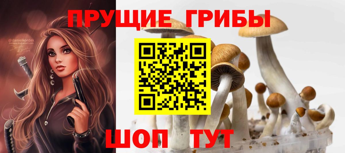 Галлюциногенные грибы Magic Shrooms  купить наркотик  Партизанск  Вход с VPN 